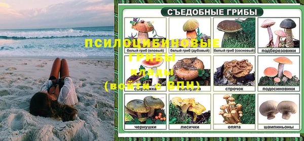 ГАЛЛЮЦИНОГЕННЫЕ ГРИБЫ Новозыбков