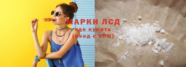 ГАЛЛЮЦИНОГЕННЫЕ ГРИБЫ Новозыбков