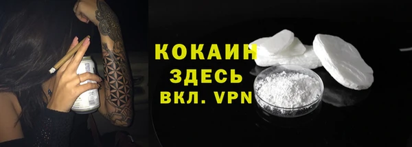 ГАЛЛЮЦИНОГЕННЫЕ ГРИБЫ Новозыбков