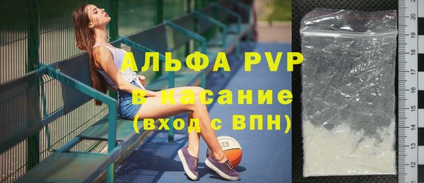 ГАЛЛЮЦИНОГЕННЫЕ ГРИБЫ Новозыбков