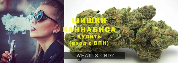 ГАЛЛЮЦИНОГЕННЫЕ ГРИБЫ Новозыбков