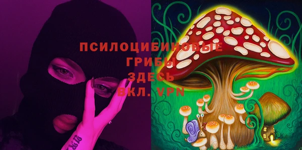 ГАЛЛЮЦИНОГЕННЫЕ ГРИБЫ Новозыбков