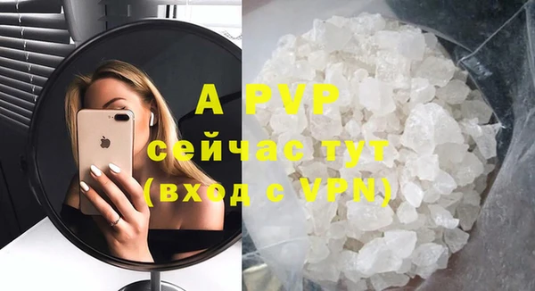 ГАЛЛЮЦИНОГЕННЫЕ ГРИБЫ Новозыбков