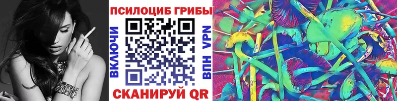 Псилоцибиновые грибы Psilocybe  Чегем 